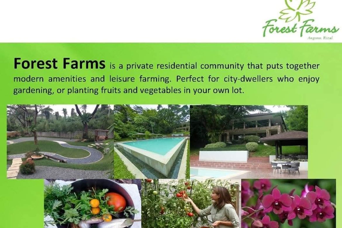 Land for Sale in Forest Farms The Grove, Mahabang Parang, Angono, Rizal – photo 3