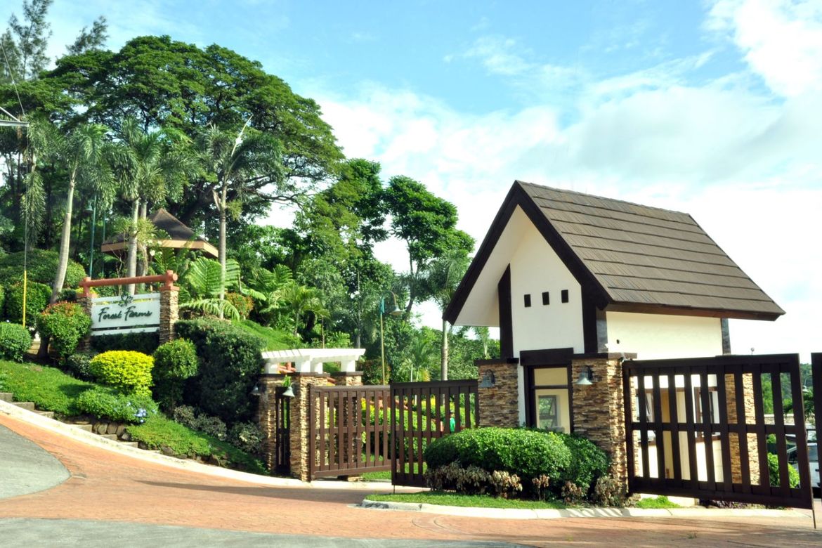 Land for Sale in Forest Farms The Grove, Mahabang Parang, Angono, Rizal – photo 5