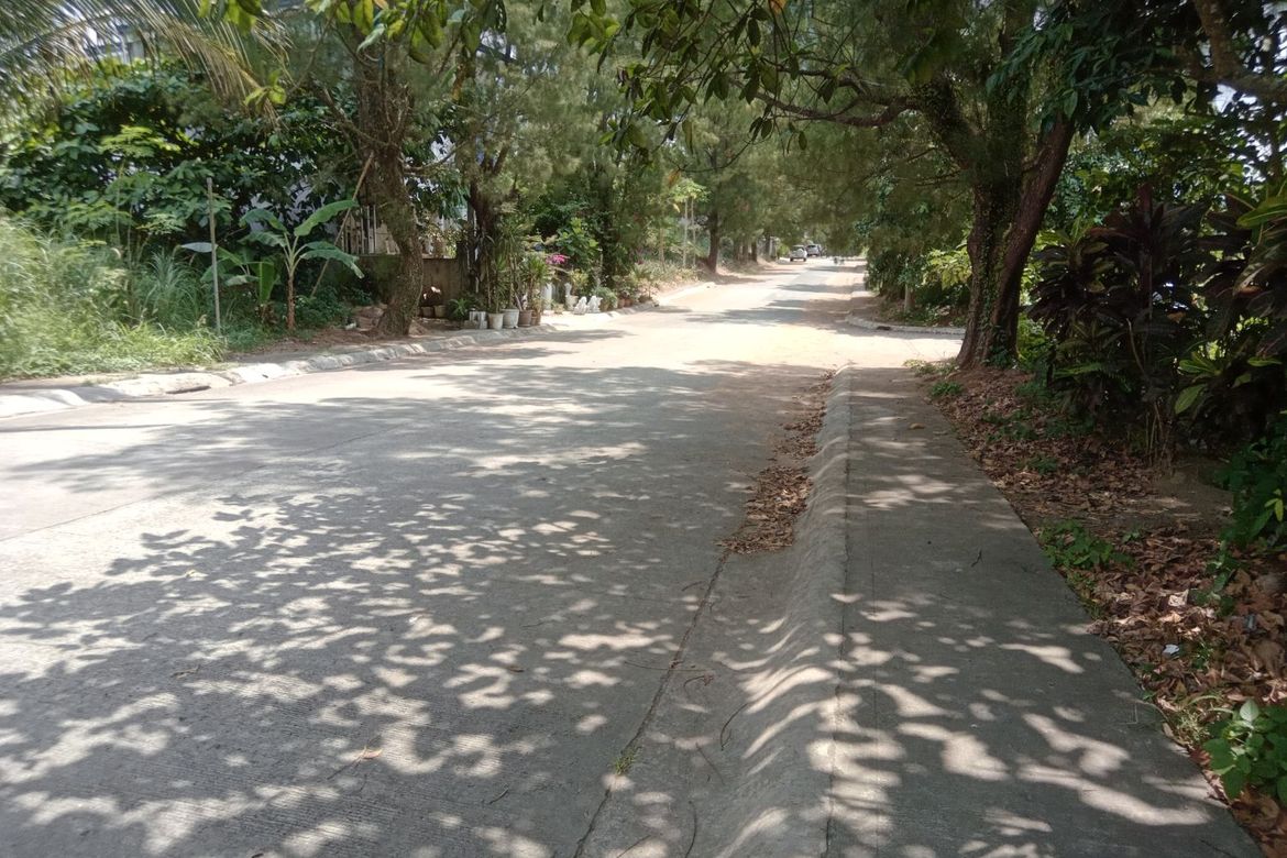 Land for Sale in Francisco, Tagaytay, Cavite – photo 6