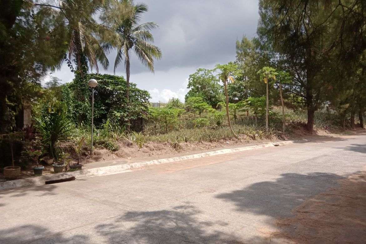 Land for Sale in Francisco, Tagaytay, Cavite – photo 7