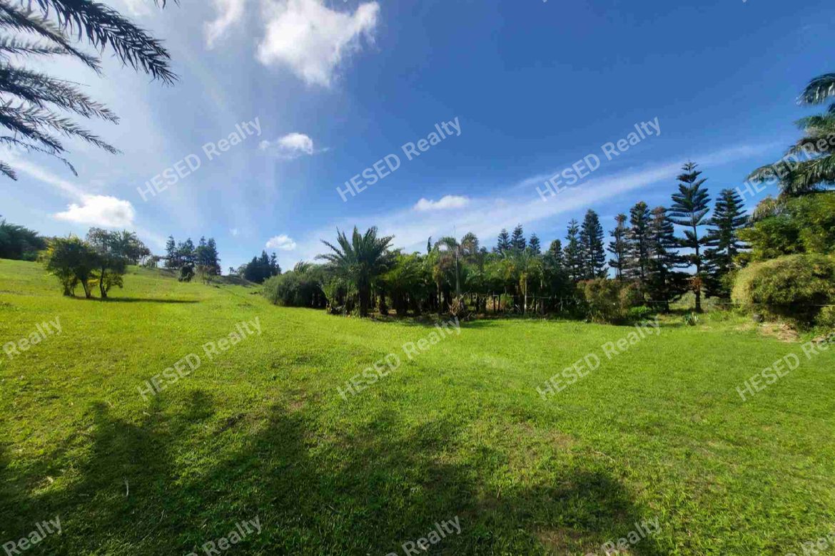 Land for Sale in Francisco, Tagaytay, Cavite – photo 2