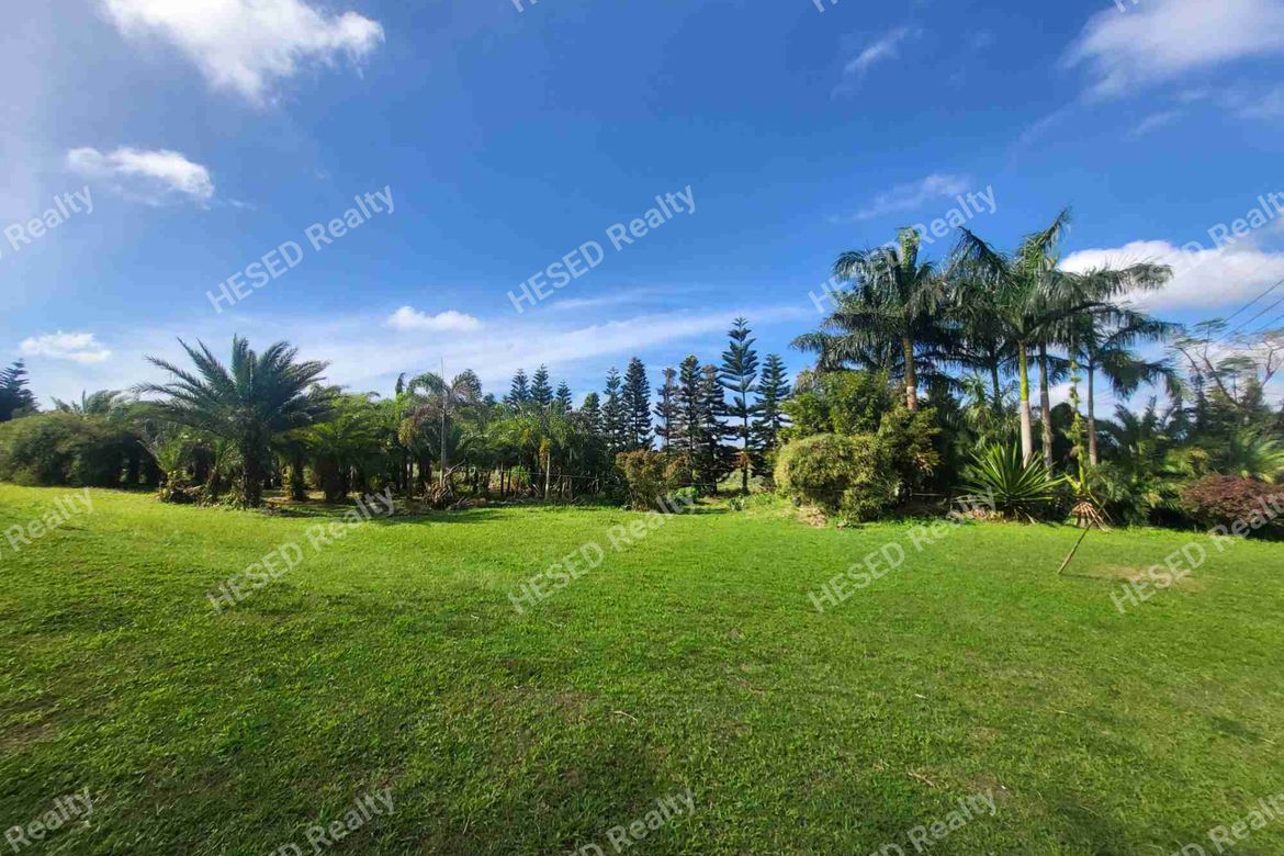 Land for Sale in Francisco, Tagaytay, Cavite – photo 3