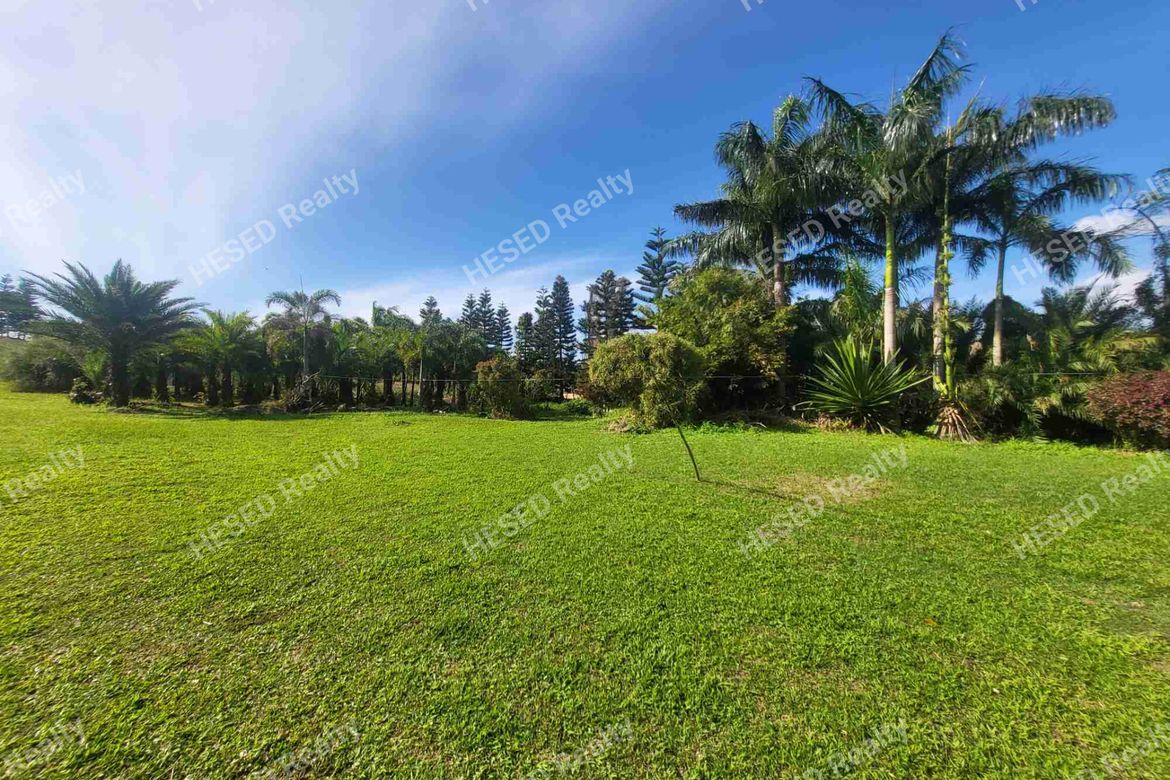 Land for Sale in Francisco, Tagaytay, Cavite – photo 4