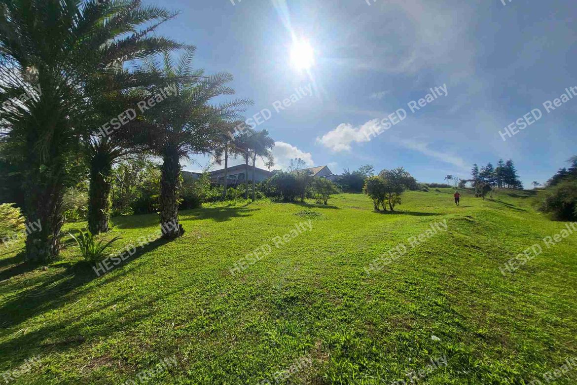 Land for Sale in Francisco, Tagaytay, Cavite – photo 5