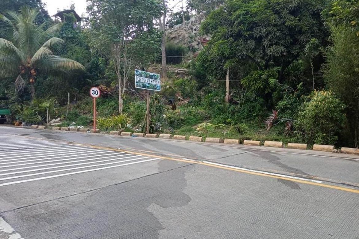 Land for Sale in Gaas, Balamban, Cebu