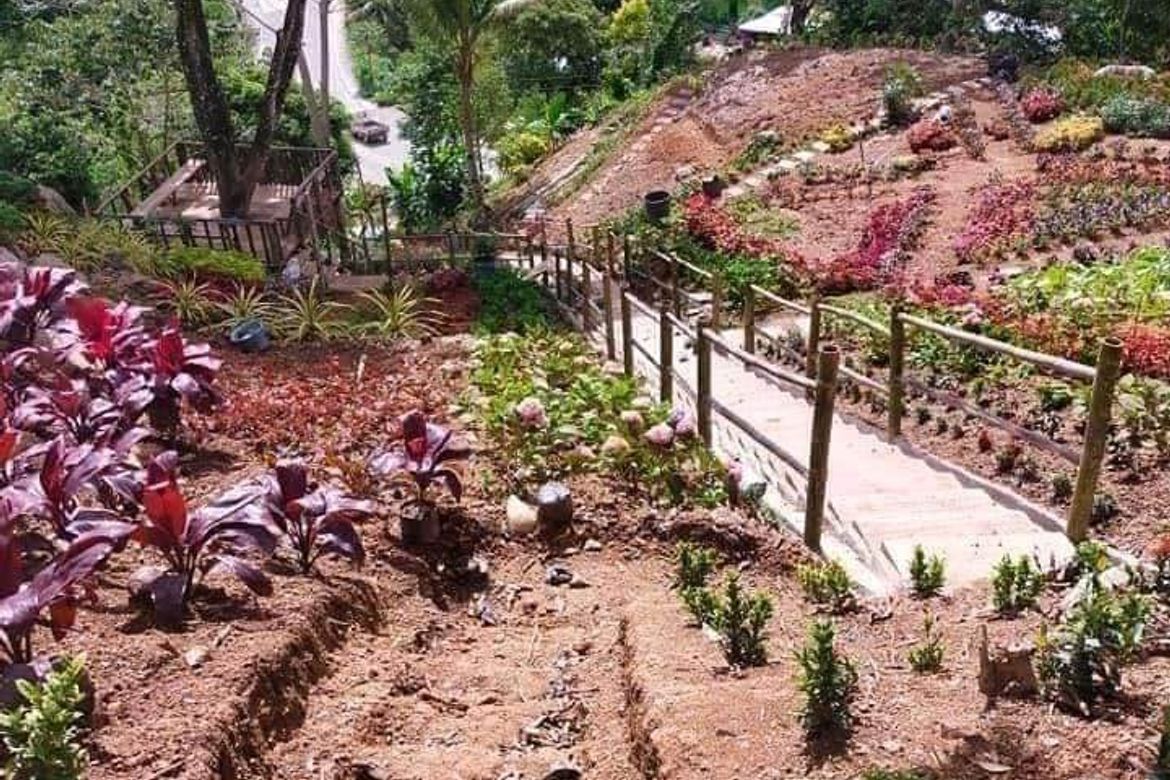 Land for Sale in Gaas, Balamban, Cebu – photo 2