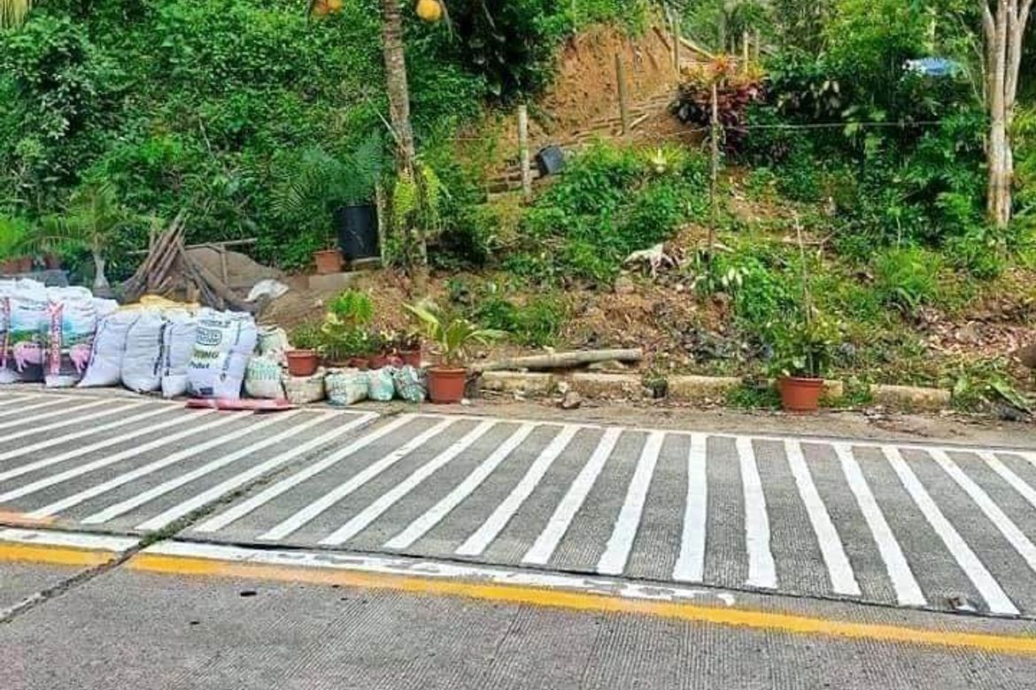Land for Sale in Gaas, Balamban, Cebu – photo 3