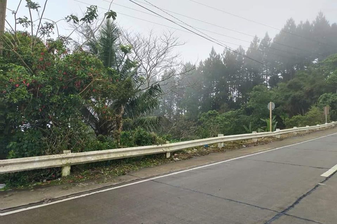 Land for Sale in Gaas, Balamban, Cebu – photo 6