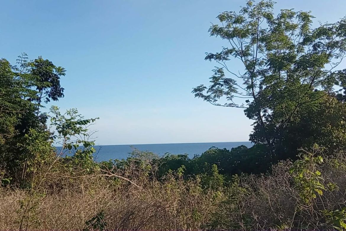 Land for Sale in Gabayan, Lazi, Siquijor – photo 3