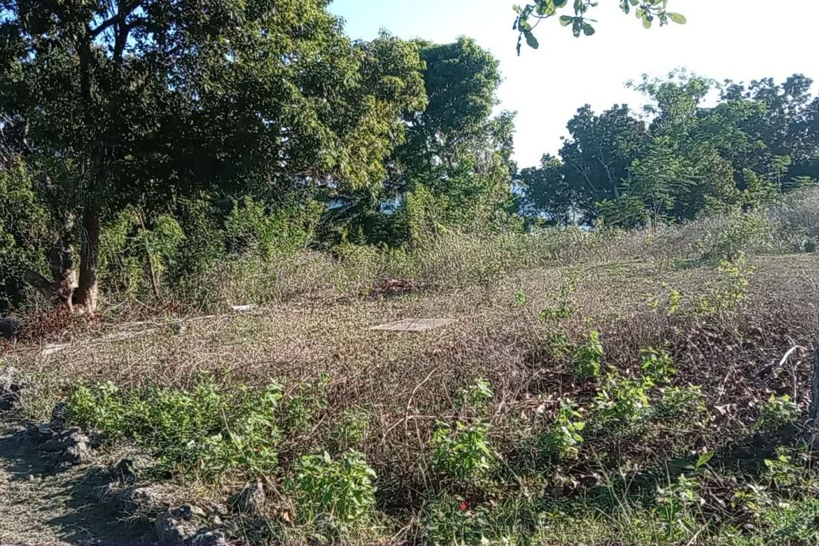 Land for Sale in Gabayan, Lazi, Siquijor – photo 7