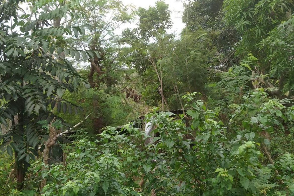 Land for Sale in Gabayan, Lazi, Siquijor – photo 6