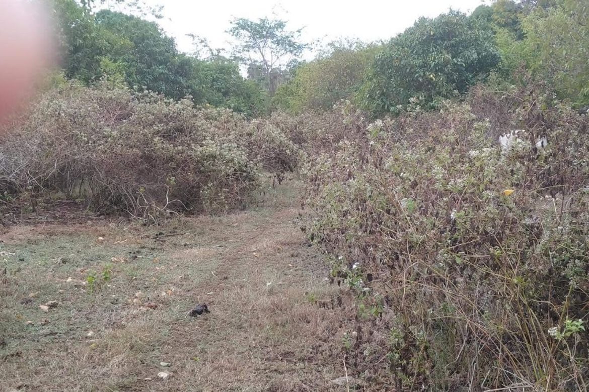 Land for Sale in Gabayan, Lazi, Siquijor – photo 7