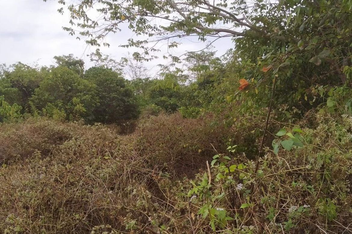 Land for Sale in Gabayan, Lazi, Siquijor – photo 8