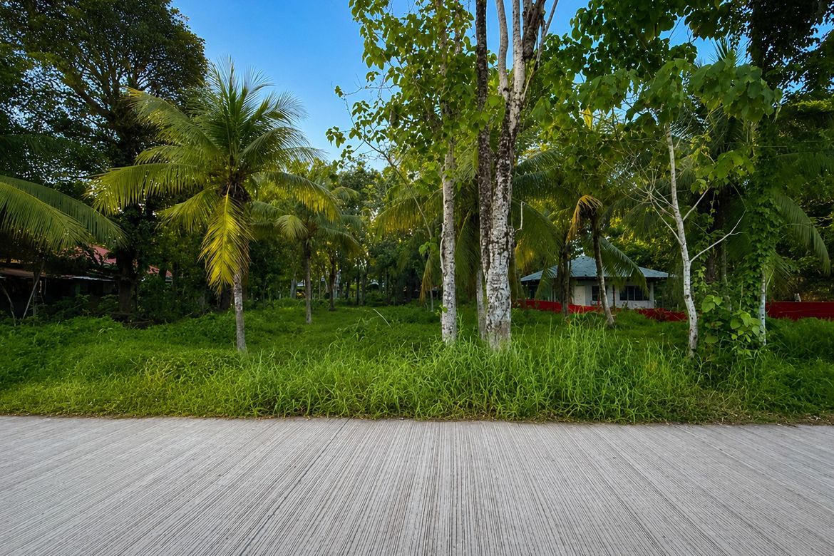 Land for Sale in Galas, Dipolog, Zamboanga del Norte