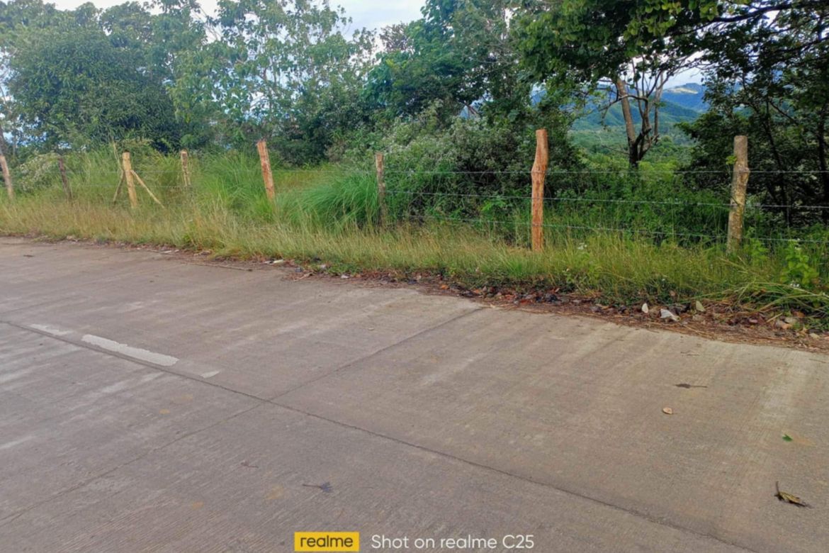 Land for Sale in Galintuja, Alfonso Castaneda, Nueva Vizcaya – photo 3