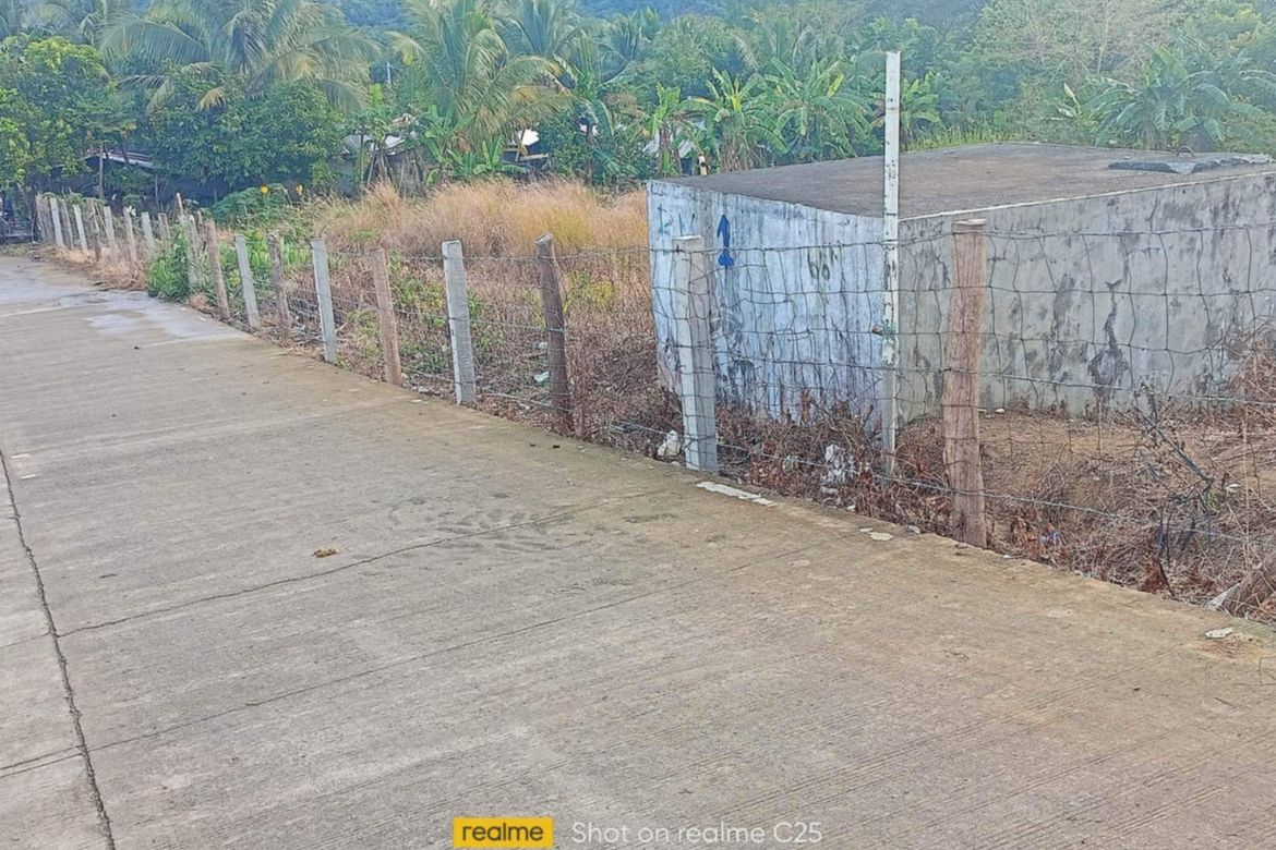 Land for Sale in Galintuja, Alfonso Castaneda, Nueva Vizcaya – photo 5