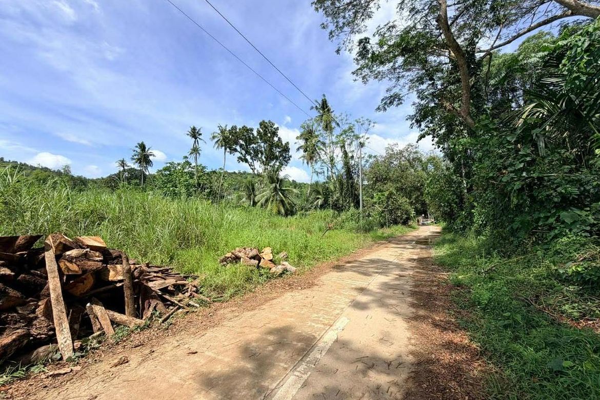 Land for Sale in Garing, Consolacion, Cebu – photo 2