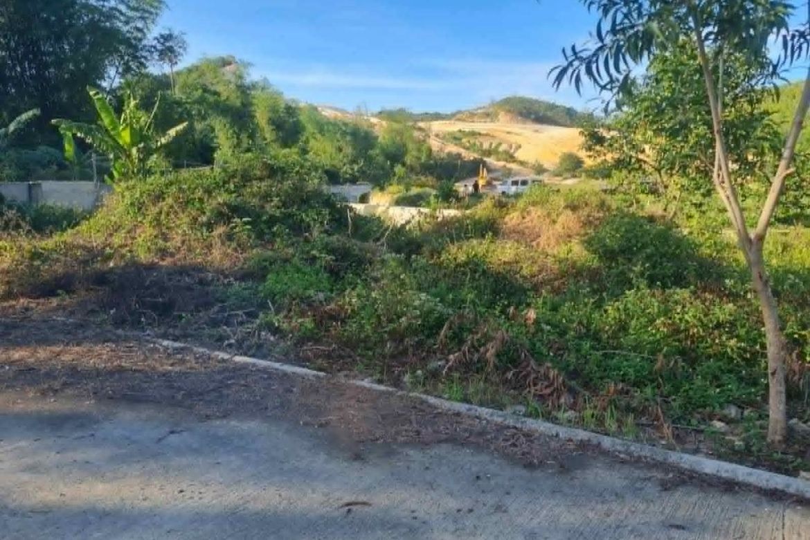 Land for Sale in Garing, Consolacion, Cebu – photo 5