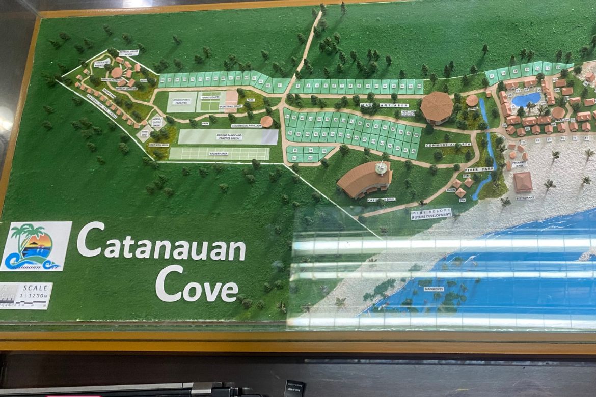 Land for Sale in Gatasan, Catanauan, Quezon – photo 2