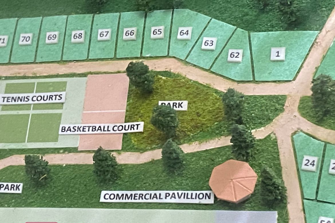 Land for Sale in Gatasan, Catanauan, Quezon – photo 3