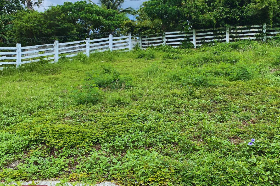 Land for Sale in Gatasan, Catanauan, Quezon – photo 8