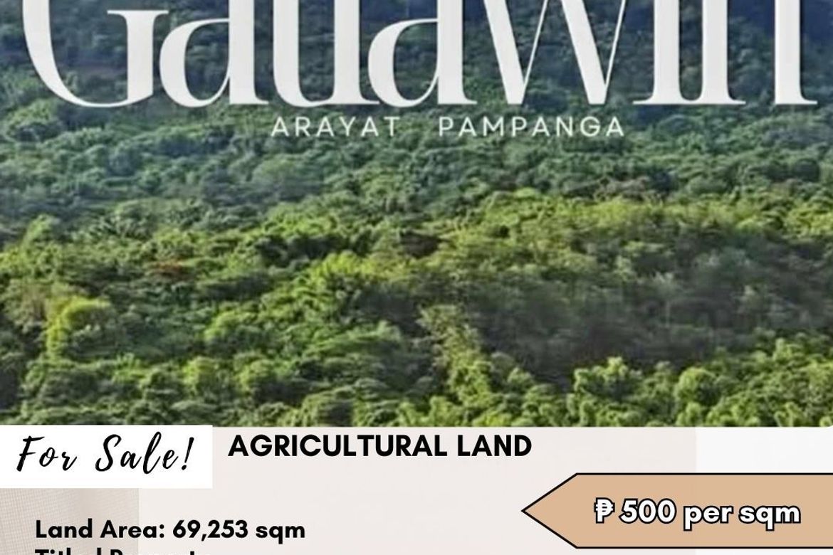 Land for Sale in Gatiawin, Arayat, Pampanga