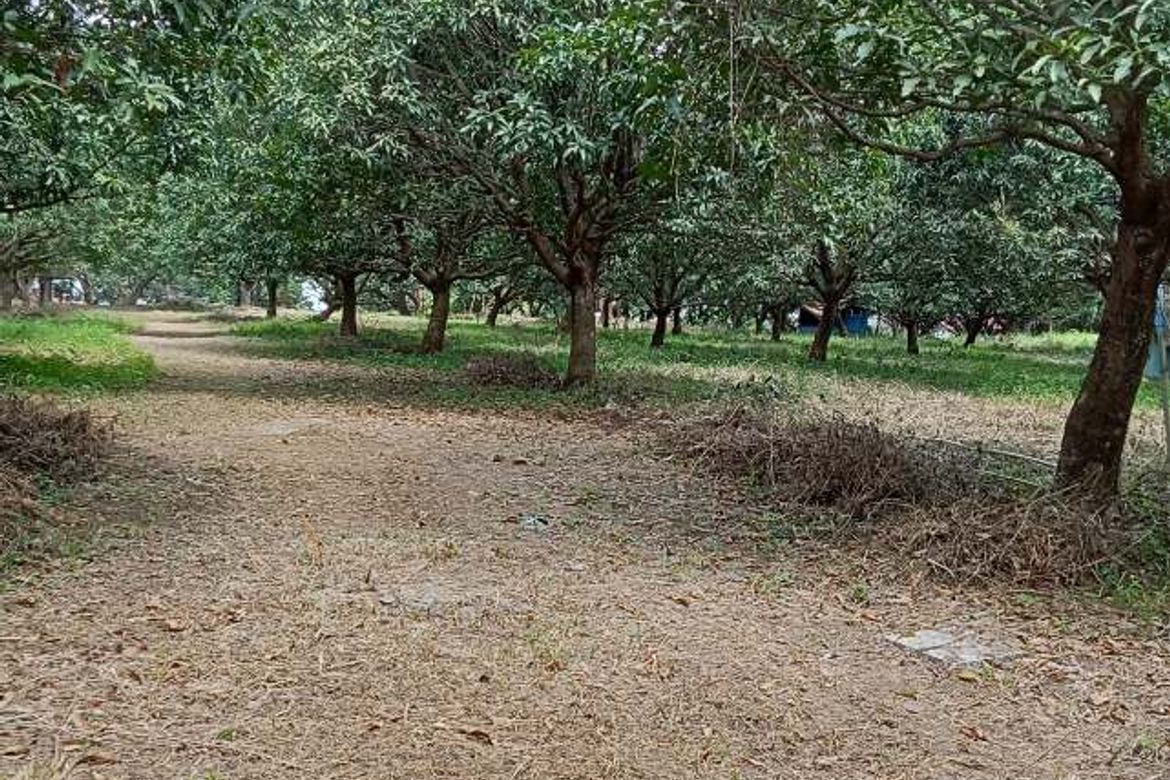 Land for Sale in Gaya-Gaya, San Jose del Monte, Bulacan