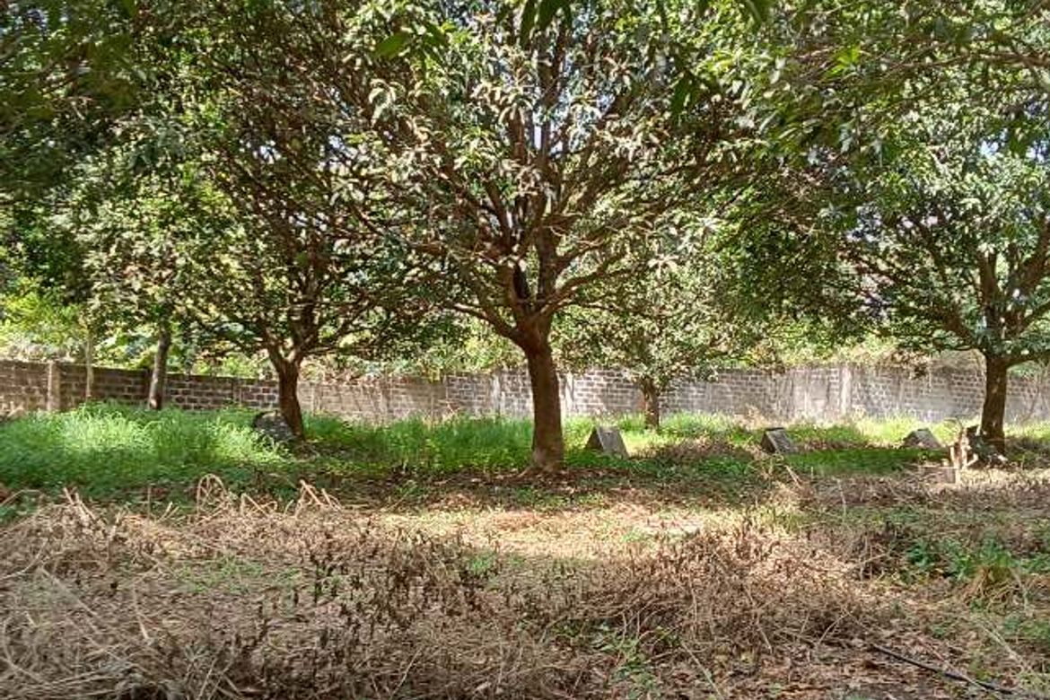 Land for Sale in Gaya-Gaya, San Jose del Monte, Bulacan – photo 4