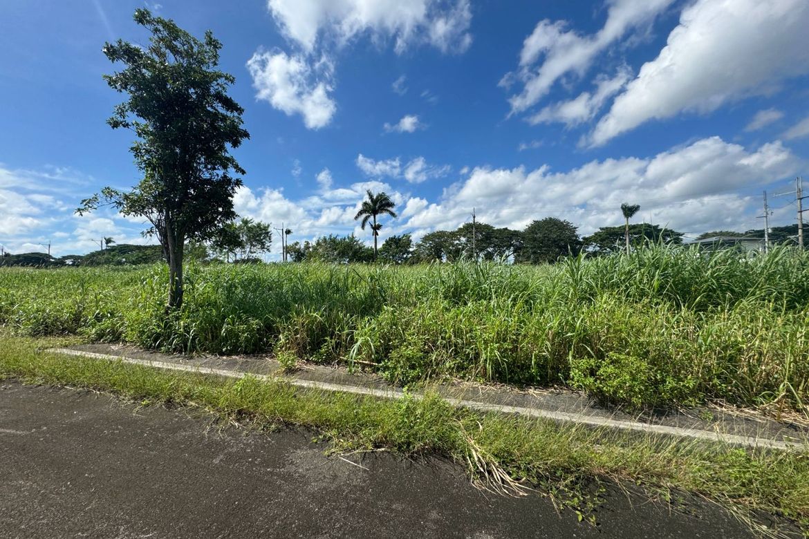 Land for Sale in General Trias, Cavite