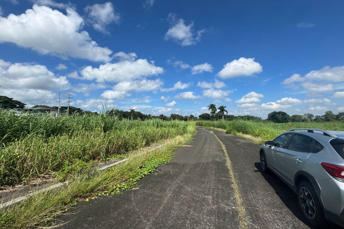 Land for Sale in General Trias, Cavite – photo 7