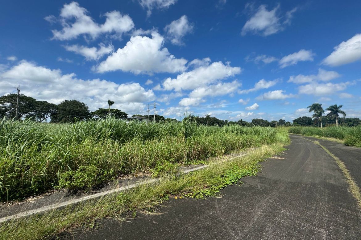 Land for Sale in General Trias, Cavite – photo 8