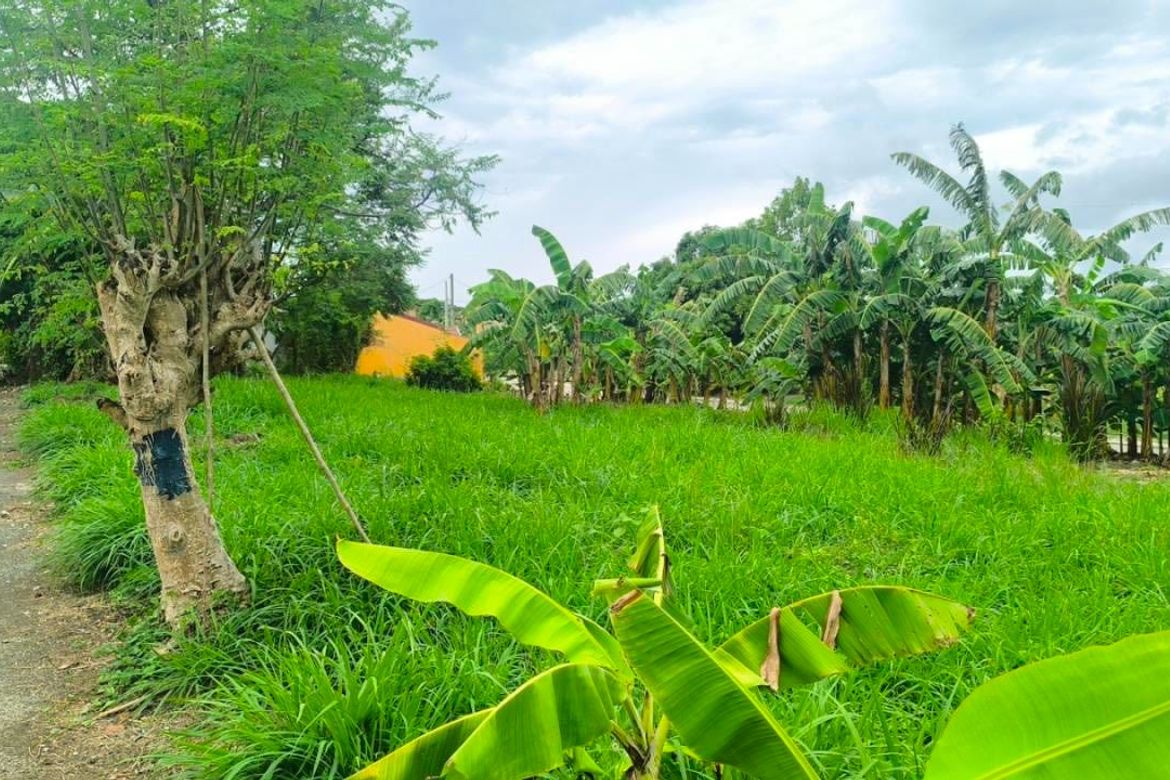 Land for Sale in General Trias, Cavite – photo 3