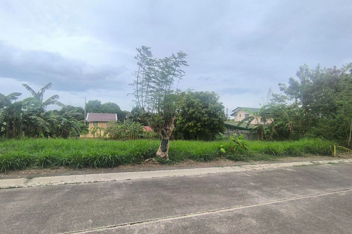 Land for Sale in General Trias, Cavite – photo 5