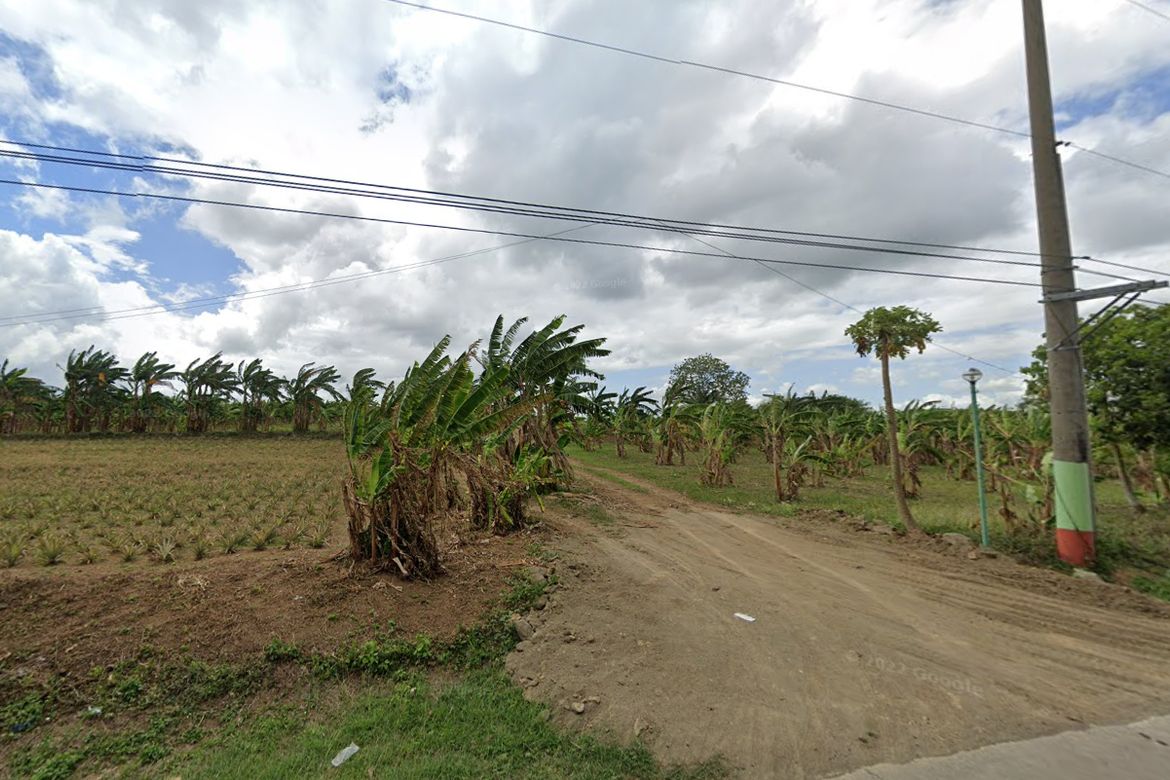 Land for Sale in General Trias, Cavite – photo 2