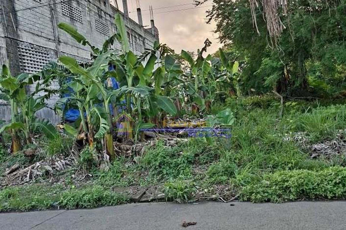 Land for Sale in General Trias, Cavite – photo 2