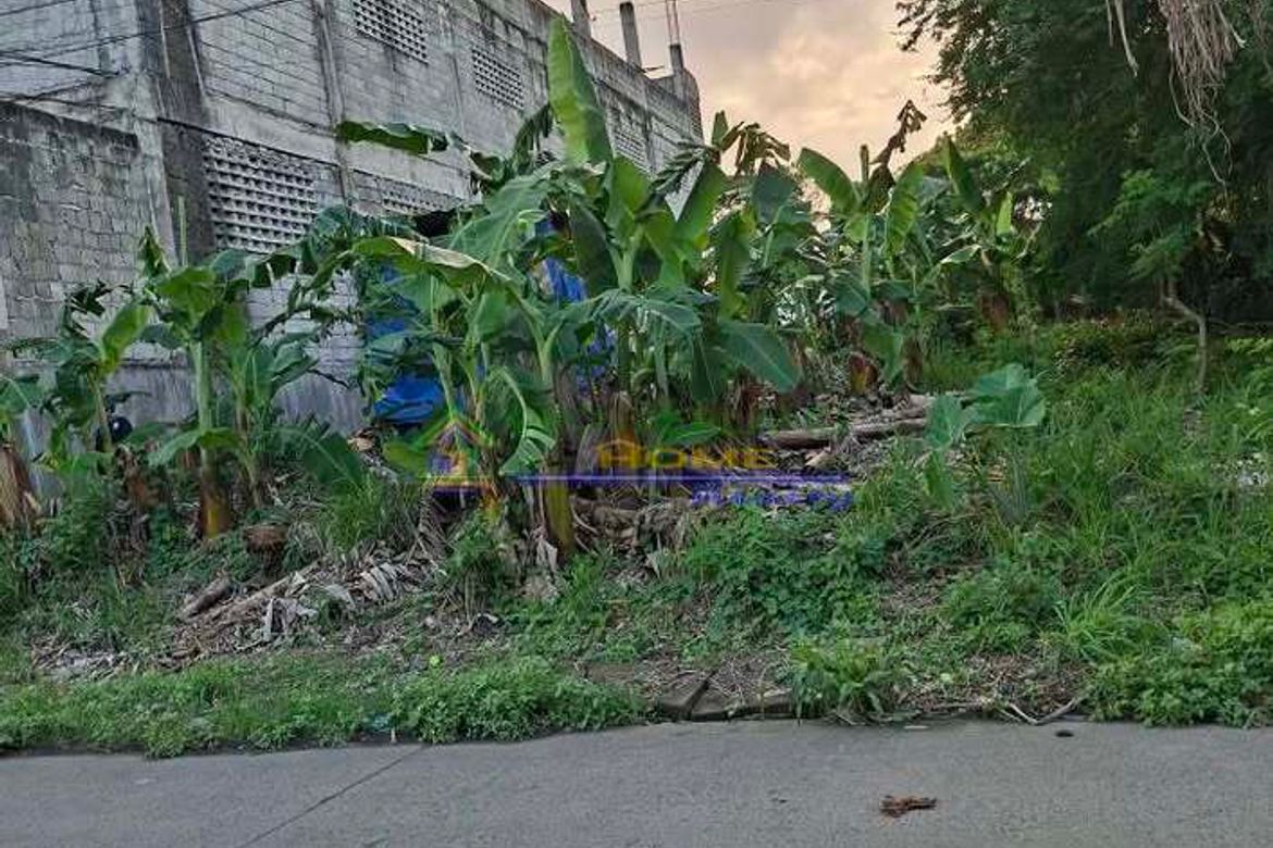 Land for Sale in General Trias, Cavite – photo 3