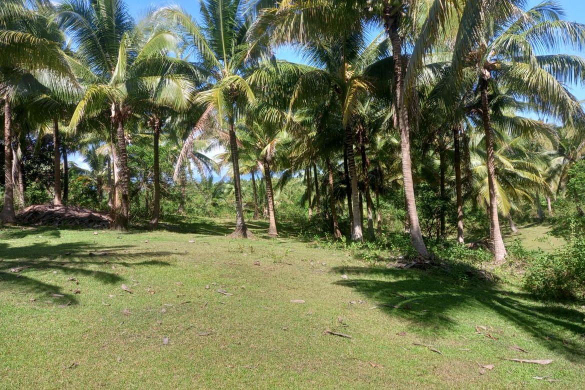 Land for Sale in Godofredo Reyes Sr., Ragay, Camarines Sur