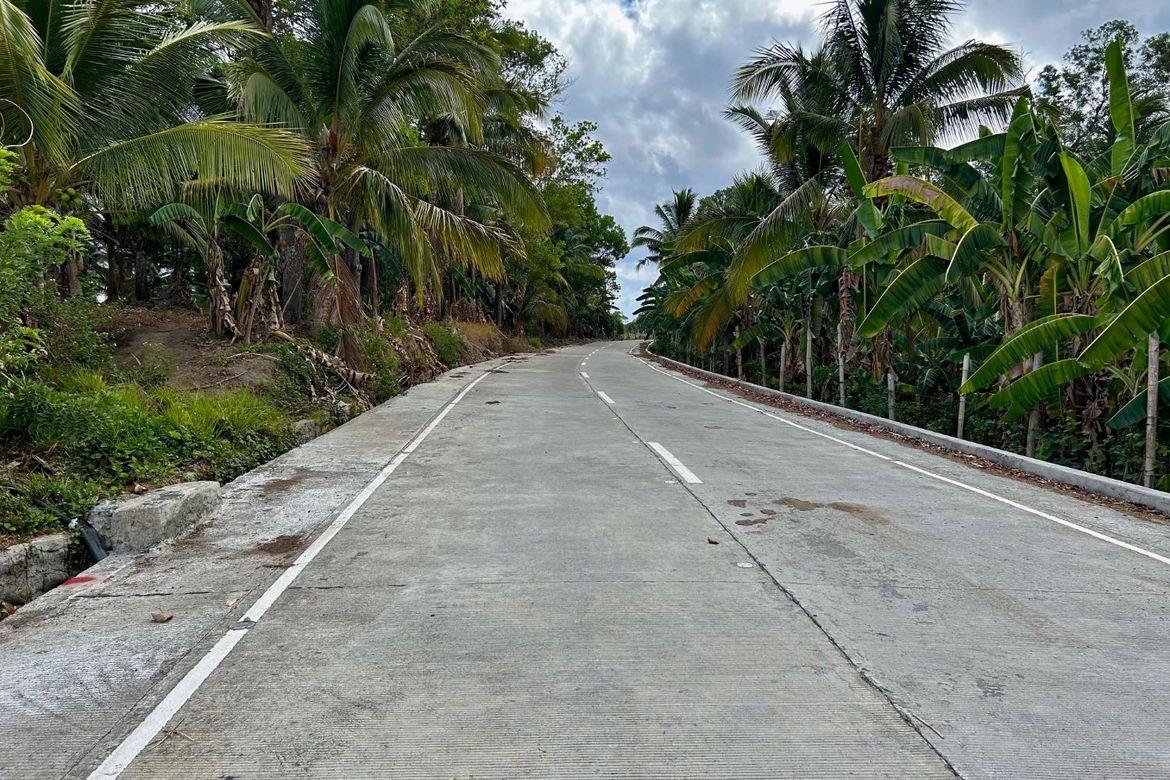 Land for Sale in Granada, Bacolod, Negros Occidental – photo 2