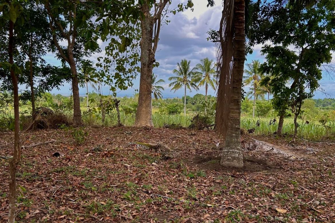 Land for Sale in Granada, Bacolod, Negros Occidental – photo 3
