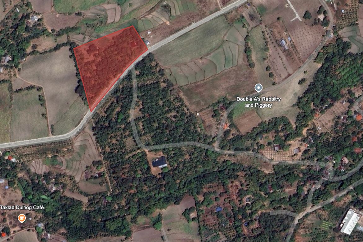 Land for Sale in Granada, Bacolod, Negros Occidental – photo 5
