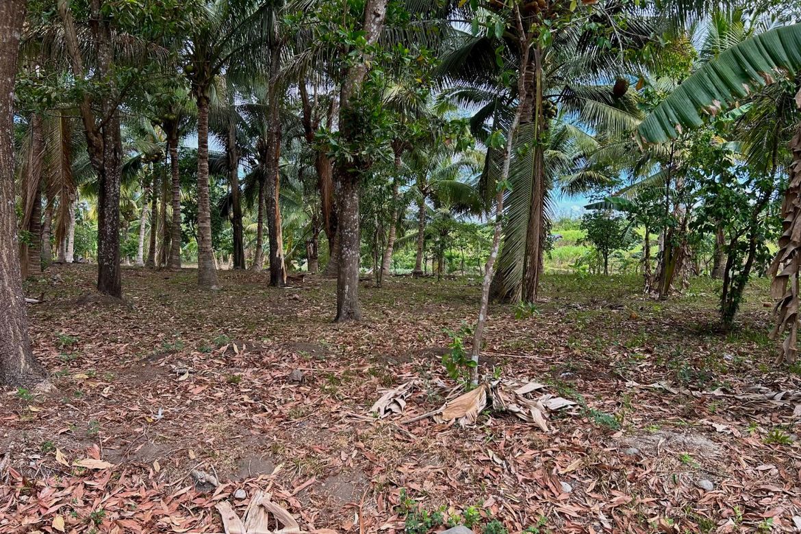 Land for Sale in Granada, Bacolod, Negros Occidental – photo 8