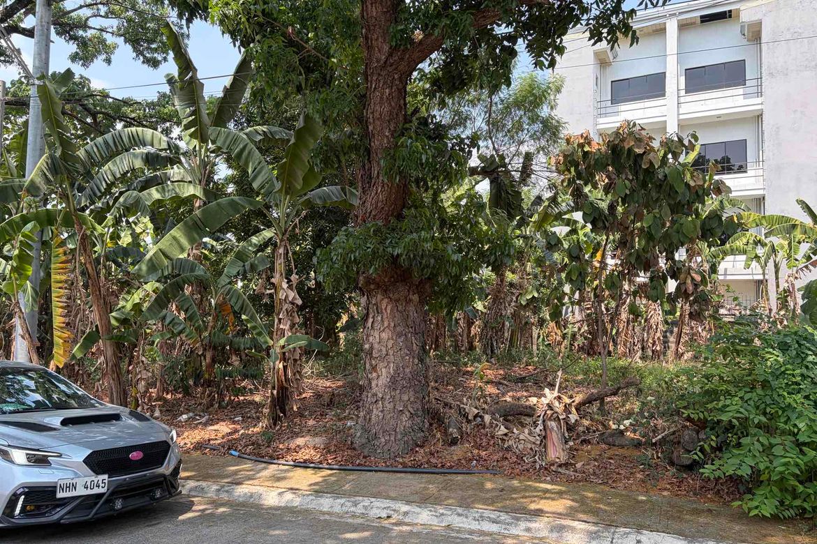 Land for Sale in Greater Lagro, Quezon City, Metro Manila – photo 3