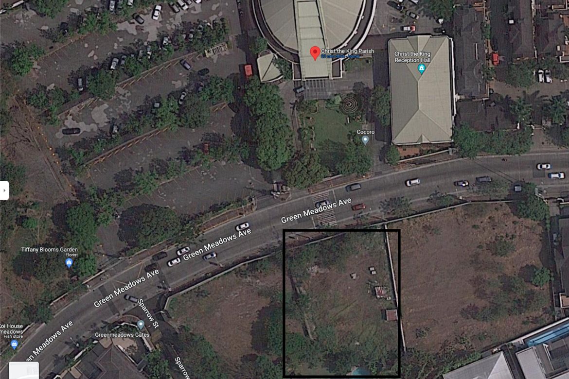 Land for Sale in Green Meadows, Ungka I, Pavia, Iloilo – photo 2