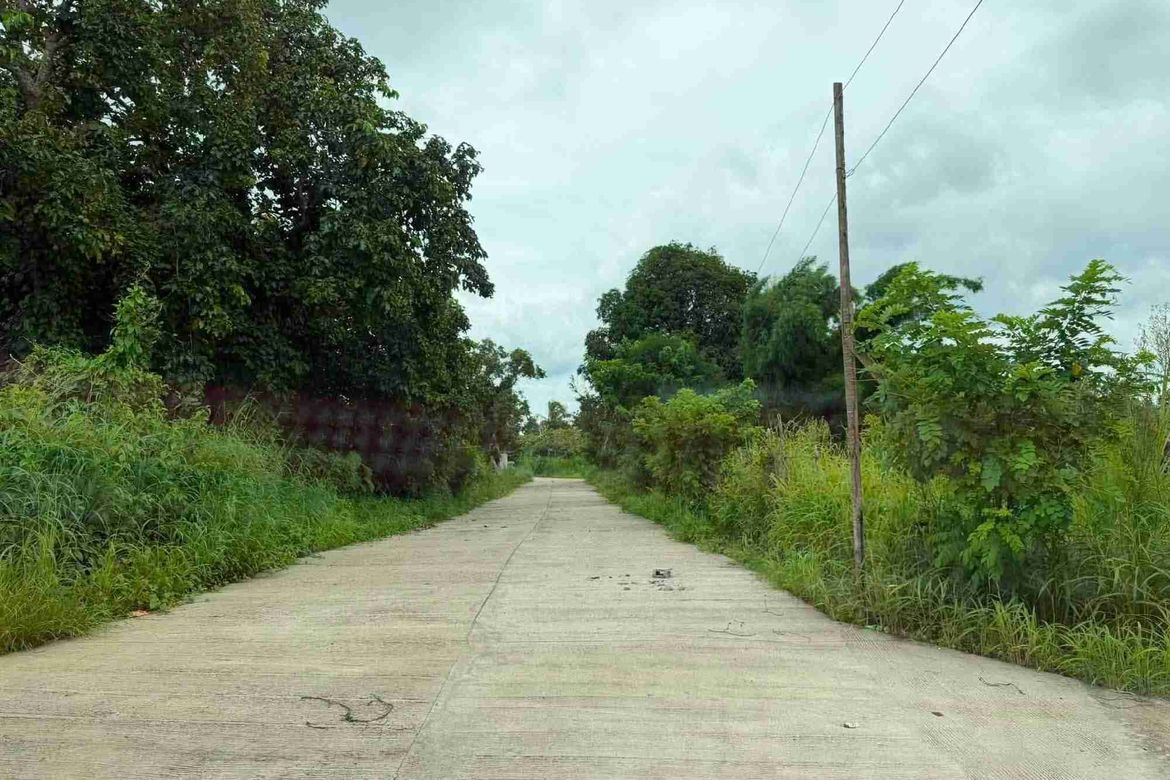 Land for Sale in Green Valley Farm - Alfonso, Pajo, Alfonso, Cavite – photo 3