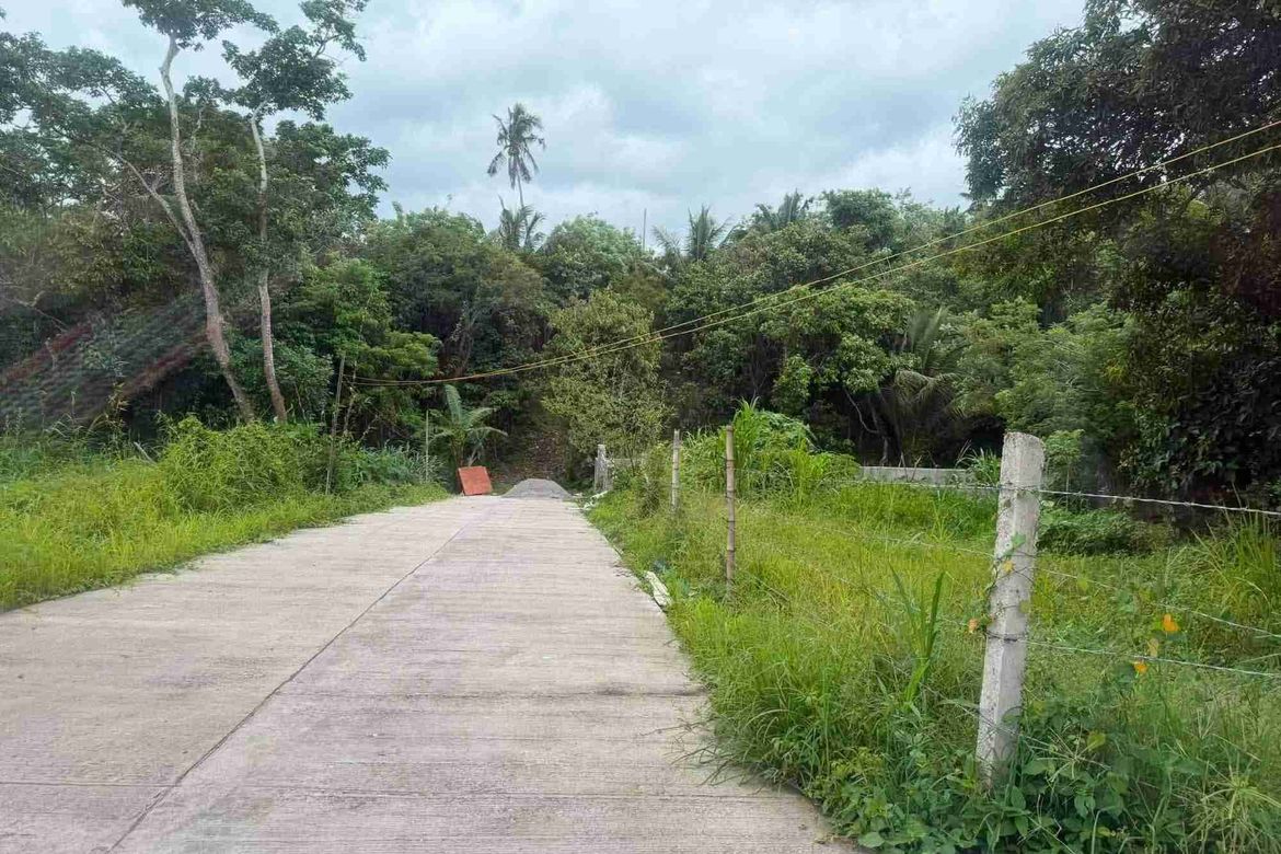 Land for Sale in Green Valley Farm - Alfonso, Pajo, Alfonso, Cavite – photo 4