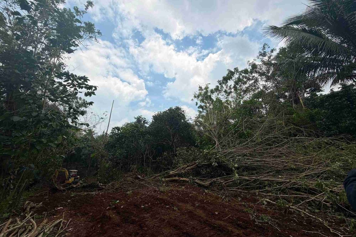 Land for Sale in Green Valley Farm - Alfonso, Pajo, Alfonso, Cavite – photo 7