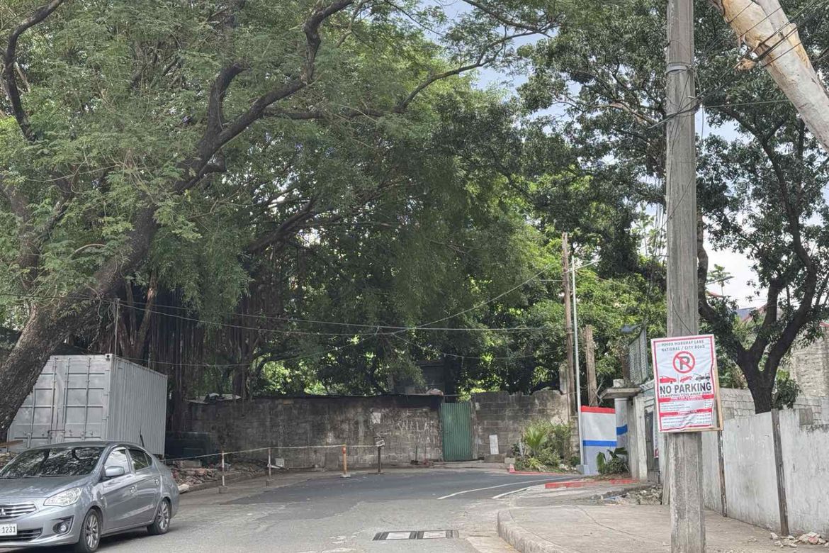 Land for Sale in Greenhills, San Juan, Metro Manila – photo 3