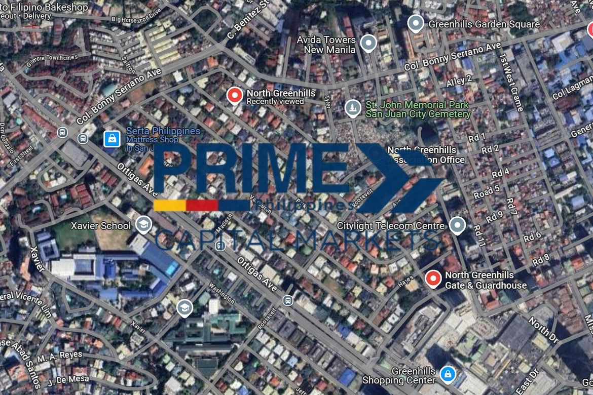Land for Sale in Greenhills, San Juan, Metro Manila – photo 3