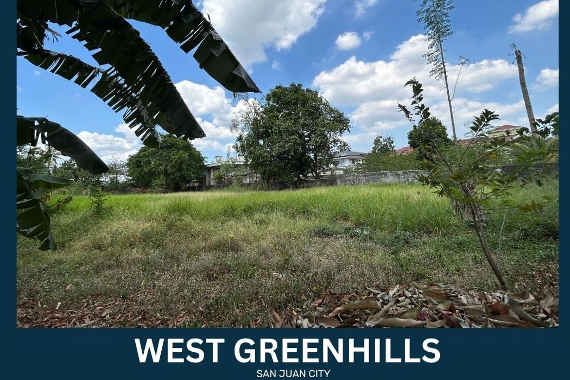 Land for Sale in Greenhills, San Juan, Metro Manila – photo 2