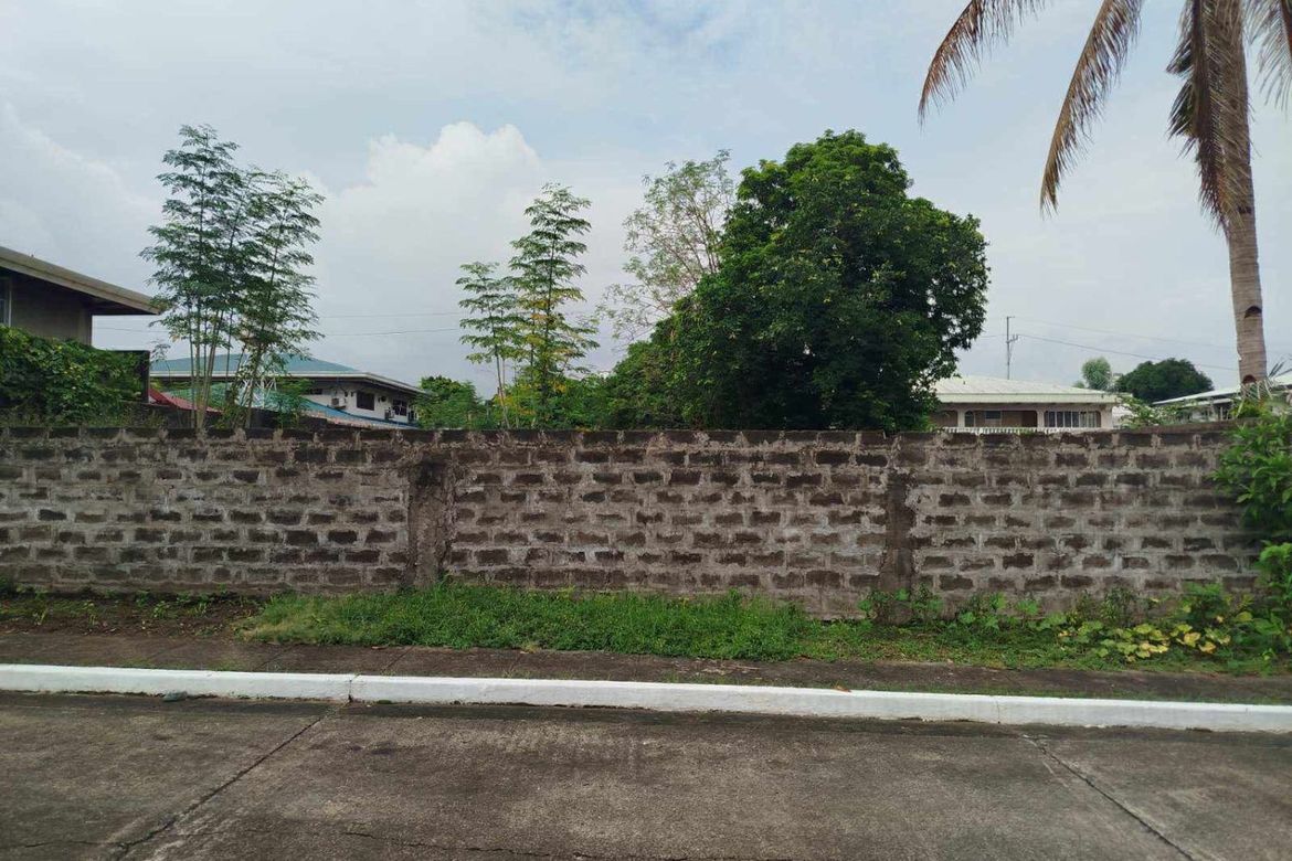 Land for Sale in Greenhills, San Juan, Metro Manila – photo 5